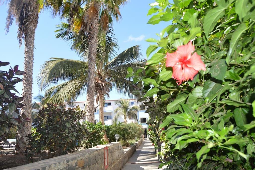 Holiday Properties Moradias Green 圣玛丽亚 外观 照片