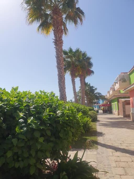 Holiday Properties Moradias Green 圣玛丽亚 外观 照片